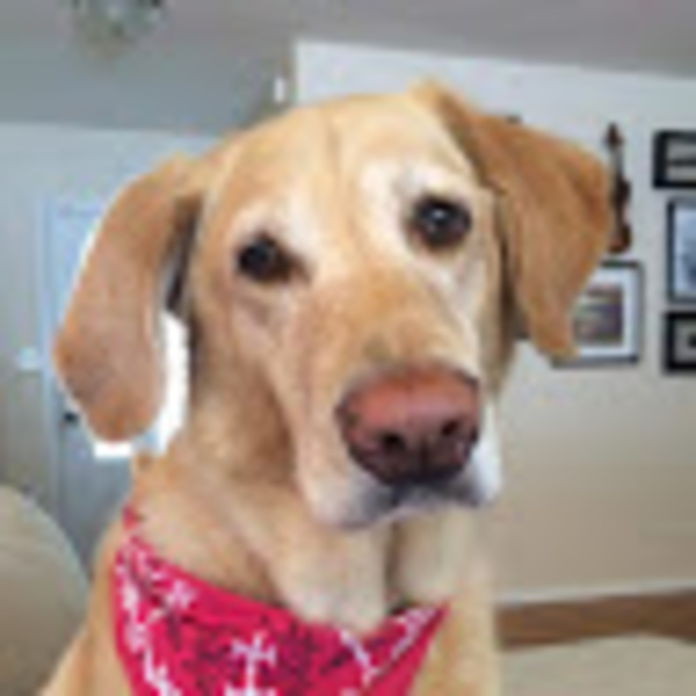 Meet your Posher, Johanna